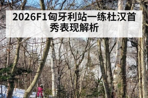 2026F1匈牙利站一练杜汉首秀表现解析
