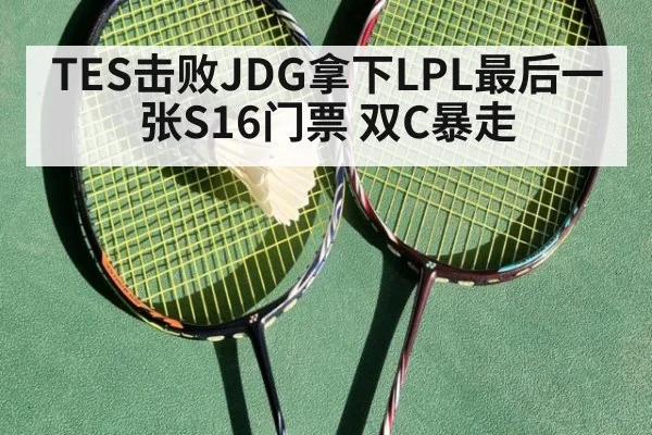 TES击败JDG拿下LPL最后一张S16门票 双C暴走