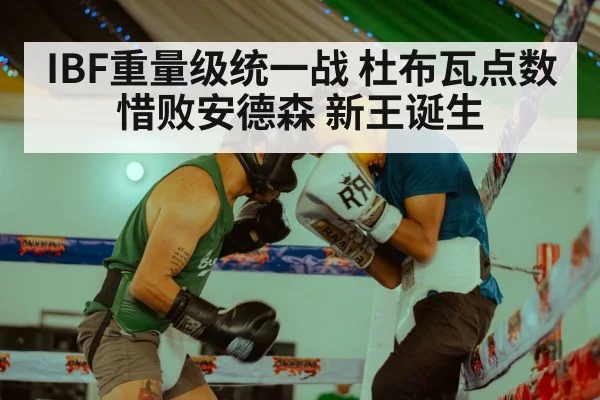 IBF重量级统一战 杜布瓦点数惜败安德森 新王诞生