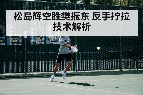 松岛辉空胜樊振东 反手拧拉技术解析