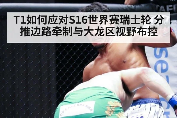T1如何应对S16世界赛瑞士轮 分推边路牵制与大龙区视野布控